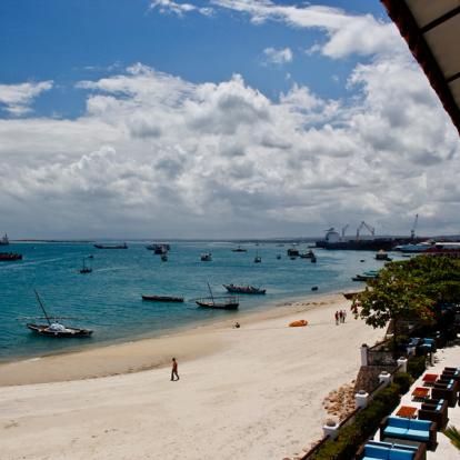 Voyage en Tanzanie - Grands Prédateurs et IIe aux Épices
