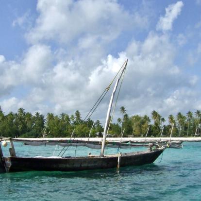 Voyage en Tanzanie - Grands Prédateurs et IIe aux Épices