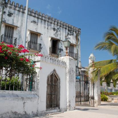 Voyage en Tanzanie - Grands Prédateurs et IIe aux Épices
