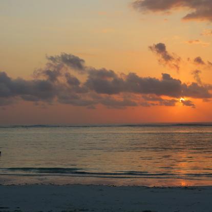 Voyage en Tanzanie - Grands Prédateurs et IIe aux Épices