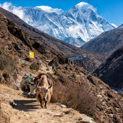 Circuit au Népal - L’immanquable Trek du Camp de base de l’Everest