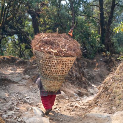 Voyage au Népal - Rencontres et trek en Annapurna