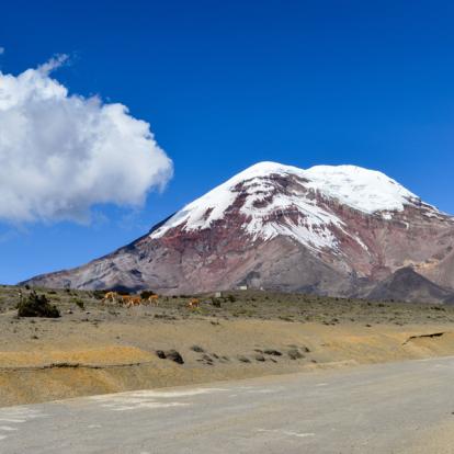 Circuit en Equateur - Les 3 Incontournables Régions de l'Équateur