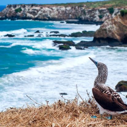 Voyage en Equateur - Les 3 Incontournables Régions de l'Équateur