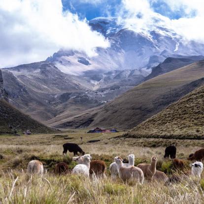 Voyage en Equateur - Ma famille en Équateur