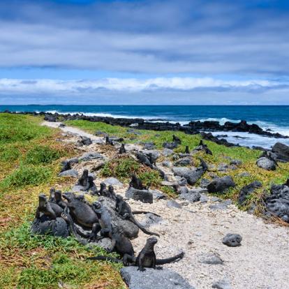 Voyage en Equateur - Les Galápagos