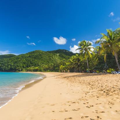 Voyage en Guadeloupe - Aventure et farniente