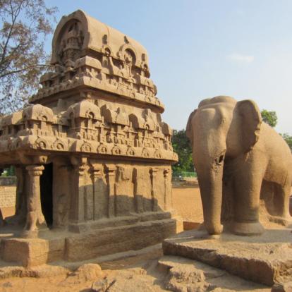 Voyage en Inde - Du Tamil Nadu au Kerala