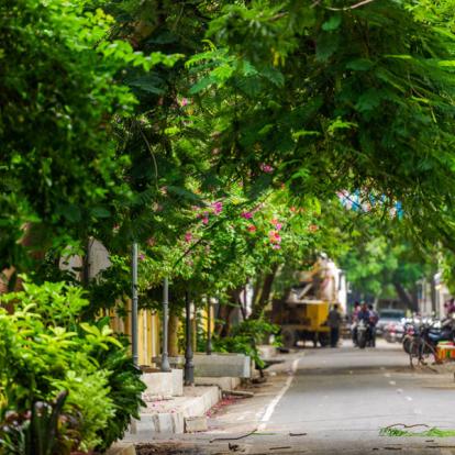 Circuit en Inde - Les splendeurs de Grand Sud