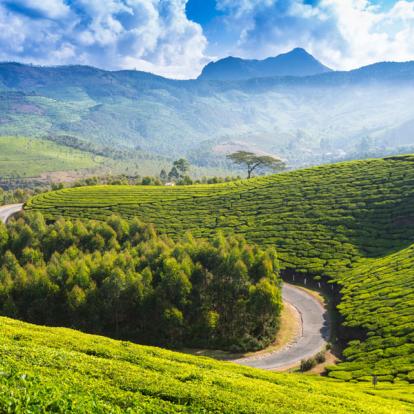 Voyage en Inde - Les splendeurs de Grand Sud