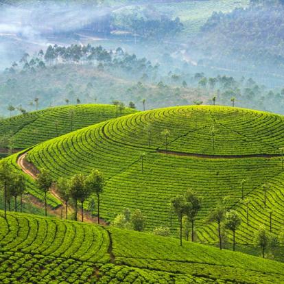 Circuit en Inde - Les splendeurs de Grand Sud