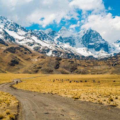 Voyage en Bolivie - Vis ma vie d'Andin