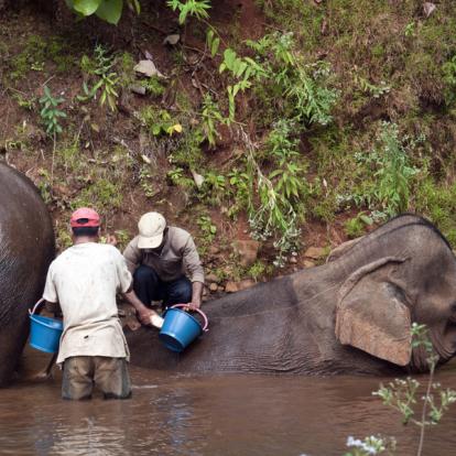Voyage au Cambodge - Le Cambodge Authentique et ses Incontournables
