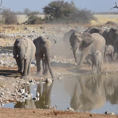 Voyage en Namibie - Safari 4x4 En Famille