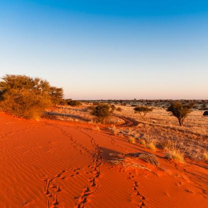 Voyage de Noce en Namibie