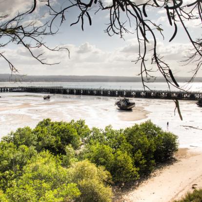 Voyage au Mozambique - Merveilles du Sud