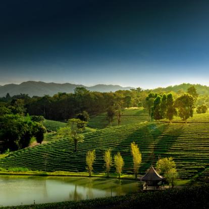 Voyage en Thaïlande - A la Découverte des Perles du Nord