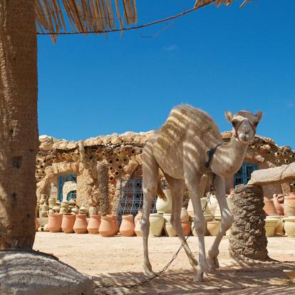 Djerba Voyage en Tunisie - Trek sur les traces des Berbères et des nomades