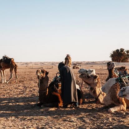 Circuit en Tunisie - Trek sur les traces des Berbères et des nomades
