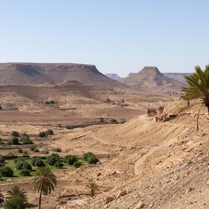 Circuit en Tunisie - Trek sur les traces des Berbères et des nomades