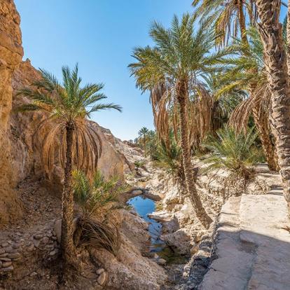 Voyage en Tunisie - Le Grand Sud Autrement