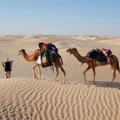 Voyage en Tunisie - Trek dans le Désert du Sahara