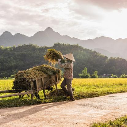 Voyage au Vietnam - Trek dans le Nord, Rizières et Villages Ethniques
