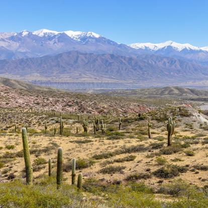 Voyage en Argentine - Rayonnez dans le Nord-Ouest Argentin