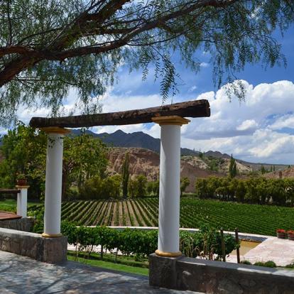 Voyage en Argentine - Culture Andine et Vignobles d'altitude