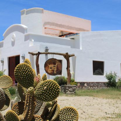 Voyage en Argentine - Mythique Route 40