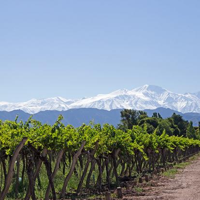 Voyage en Argentine - Mythique Route 40