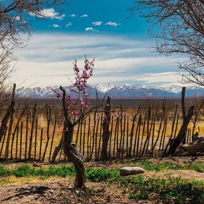 Voyage en Argentine - Mythique Route 40