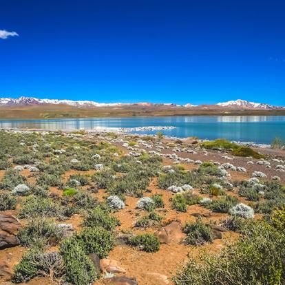 Circuit en Argentine - Le Nord-Ouest Argentin et la Puna