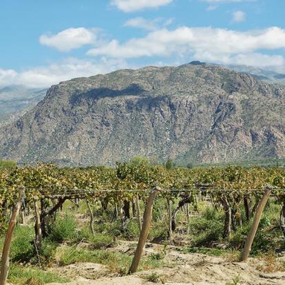 Voyage en Argentine - Le Nord-Ouest Argentin et la Puna