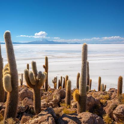 Combiné en Amérique du Sud - Le triangle d'Or - Argentine, Bolivie, Chili