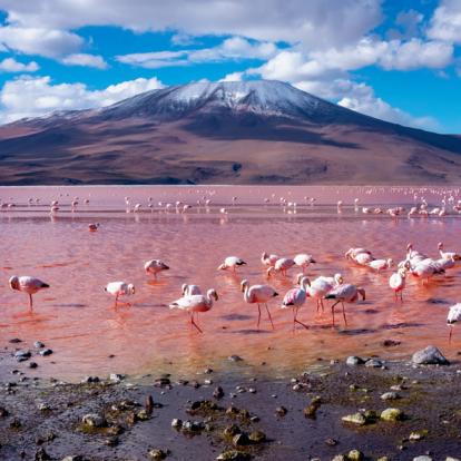 Combiné en Amérique du Sud - Le triangle d'Or - Argentine, Bolivie, Chili