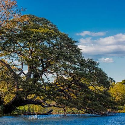 Circuit au Nicaragua - Les Merveilles du Nicaragua
