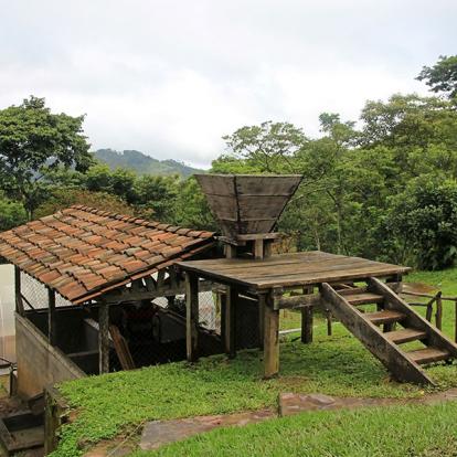 Circuit au Nicaragua - Saveurs du Nicaragua