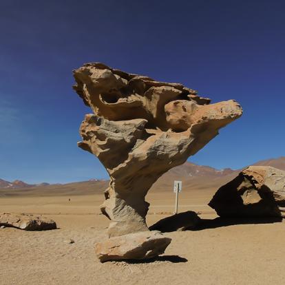 Combinée Bolivie et Pérou - Des Incas aux Quechuas