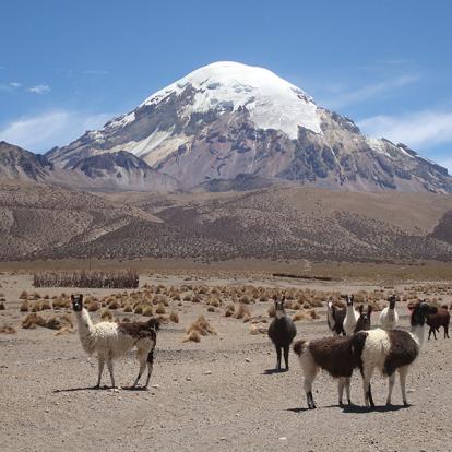 Voyage Combiné en Bolivie, Chili et Argentine - Expédition Grand Altiplano