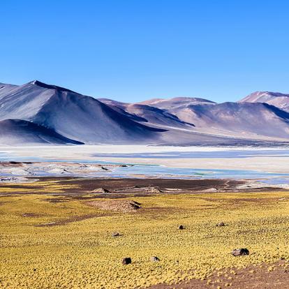 Voyage Combiné en Bolivie, Chili et Argentine - Expédition Grand Altiplano