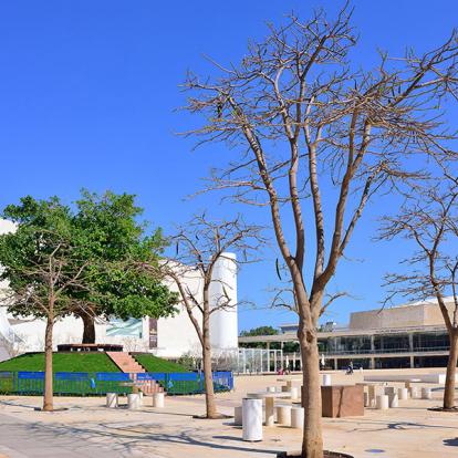 Circuit en Israël - L'Essentiel de la Terre Promise