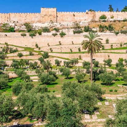 Voyage en Israël - Escapade à Jérusalem & Terre De Judée
