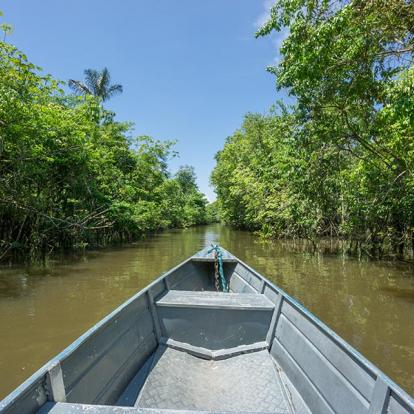 Voyage au Brésil - Entre Nature et Culture