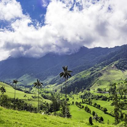 Voyage en Colombie - Vos savoureuses vacances au bout du monde