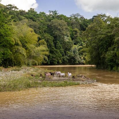Circuit en Colombie - Vos savoureuses vacances au bout du monde