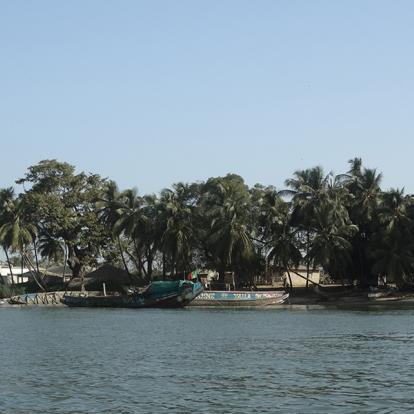 Voyage au Sénégal - Le grand tour de la Casamance