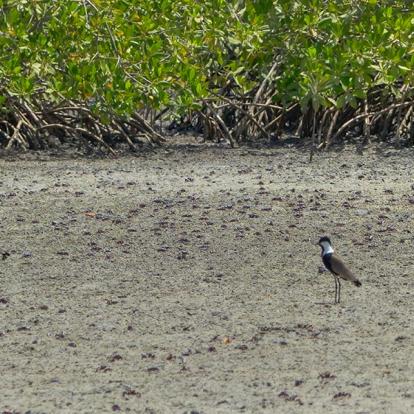 Circuit au Sénégal - Le grand tour de la Casamance