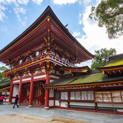 Voyage au Japon - Explorez Kyushu Autrement
