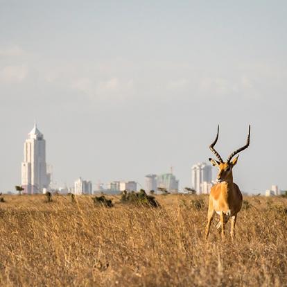 Voyage au Kenya - Découverte en Slow Travel